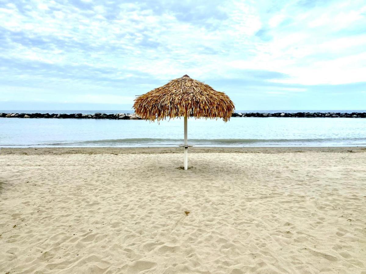 Baldinini Hotel ريميني المظهر الخارجي الصورة